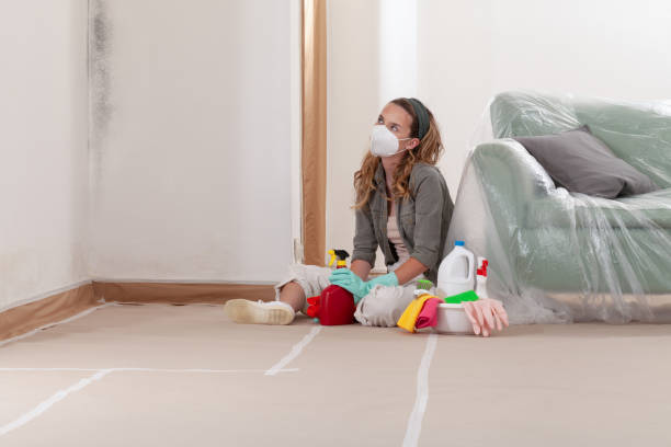 Reliable Mold Remediation contractor in Kendall Park, NJ by WQB Mold Removal